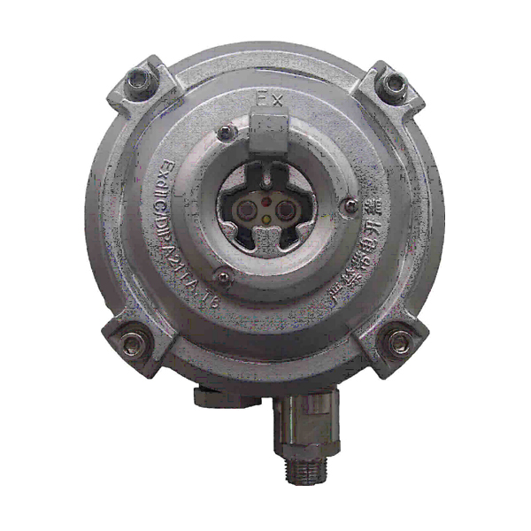 山西海灣D-9107R防爆點(diǎn)型紅外火焰探測器